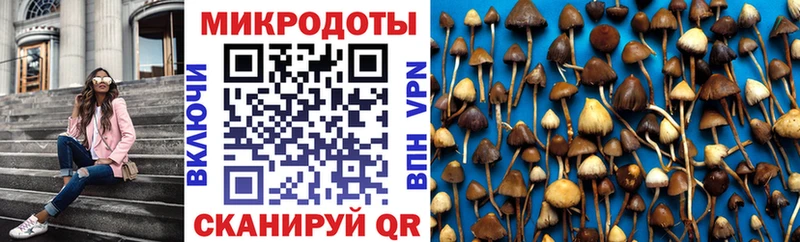 Псилоцибиновые грибы MAGIC MUSHROOMS  Купить закладки  Серафимович 